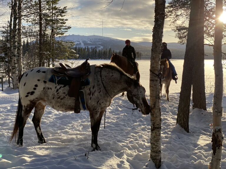 A small group horseback riding tour in the snow.
