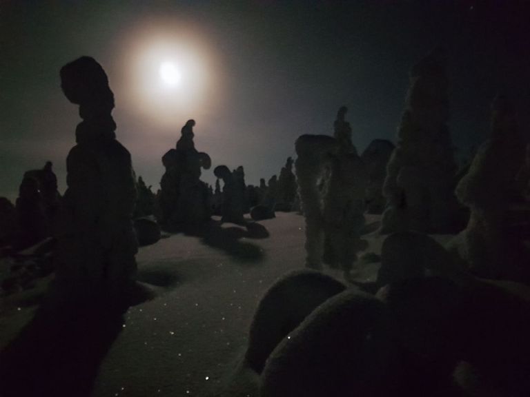 Night sky tour with snowshoes - private.