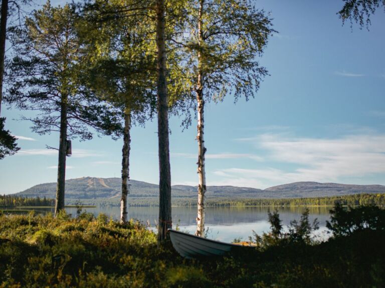 Guided tour to Pyhä-Luosto National park.