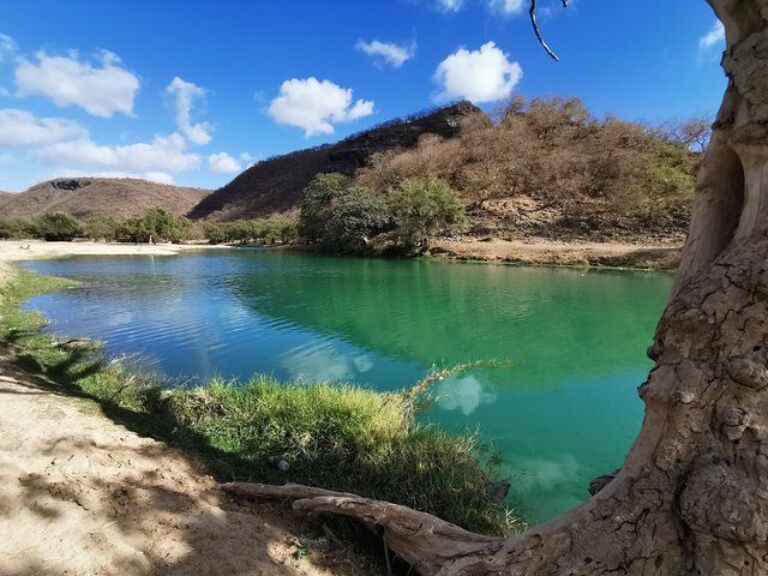 Uncover Wonders of East Salalah-Full day guided tour.