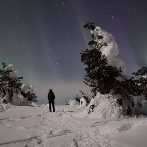 Night sky tour with snowshoes - private.