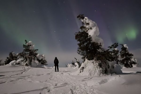 Night sky tour with snowshoes – private