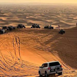 Desert Safari Tour with Camel Ride, BBQ Dinner, Sand Boarding & Live Shows.