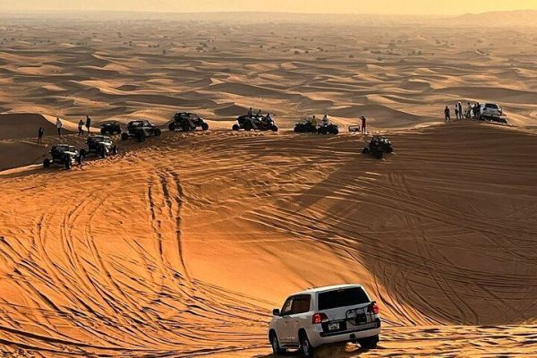 Desert Safari Tour with Camel Ride, BBQ Dinner, Sand Boarding & Live Shows