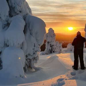 Snowshoe tour in Riisitunturi National Park.