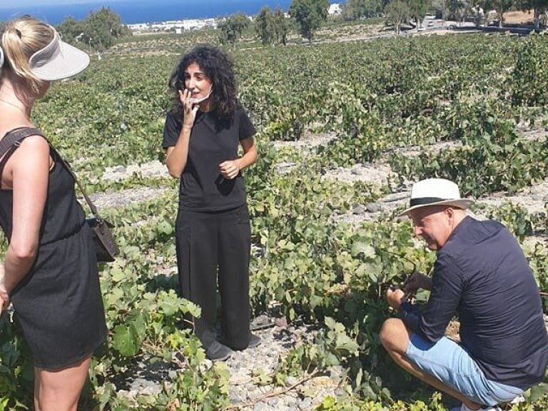 Santorini Wine Secrets.