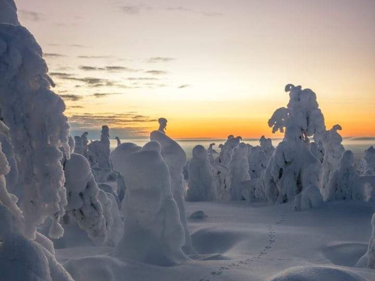 Sunrise or sunset tour with snowshoes in Riisitunturi National Park.