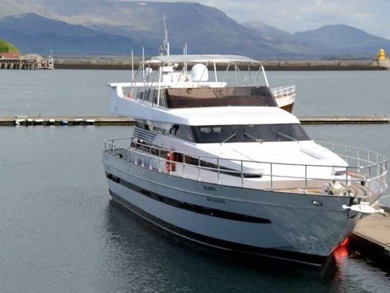 Whale Watching & Dolphin Luxury Yacht Cruise: Join Harpa Yachts for a comfortable whale & dolphin watching cruise from Reykjavik Old Harbor. On this cruise with we sail out from the old harbor in downtown Reykjavik out to Faxafloi bay looking for whales & dolphins.