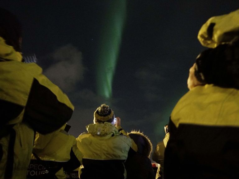 Auroras at Whales of Iceland & Northern Lights by Boat.