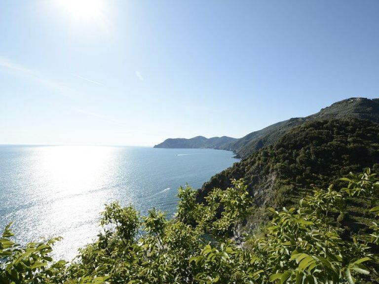 Cinque Terre walking tour with local wine tasting.