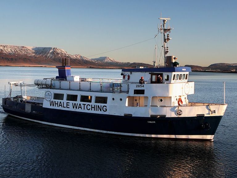 Northern Lights by Boat: Hunting the northern lights on the North Atlantic ocean is an amazing experience. Sailing away from the coastline of Reykjavik and seeing the Aurora Borealis out on the ocean with beautiful mountains and the city in the background is something to remember.