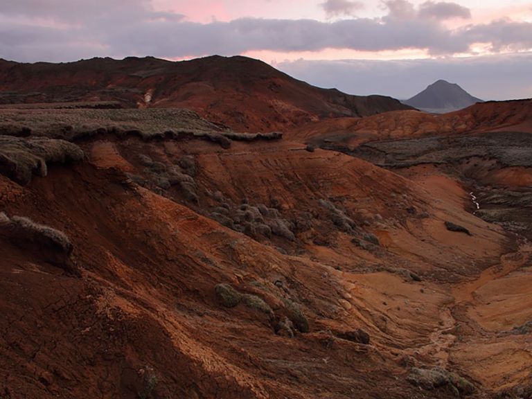 Reykjanes Peninsula - Private Tour: Incredible aspects of bird’s life & Iceland’s volcanic landscapes with cliffs, volcanoes, lava fields, hot springs & craters of various kinds…