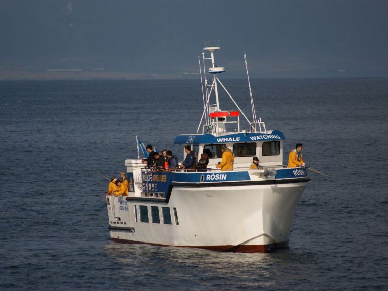 Sea Angling. With our company, you can enjoy the fishing adventure of a lifetime! Sea Angling is a great activity for all ages. We set off from Reykjavik's Old Harbour and head out to fishing area Faxaflói Bay, where our experienced crew will usually spot fish in a flash!