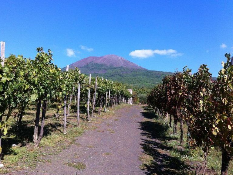 Mount Vesuvius Wine Tour Experience.