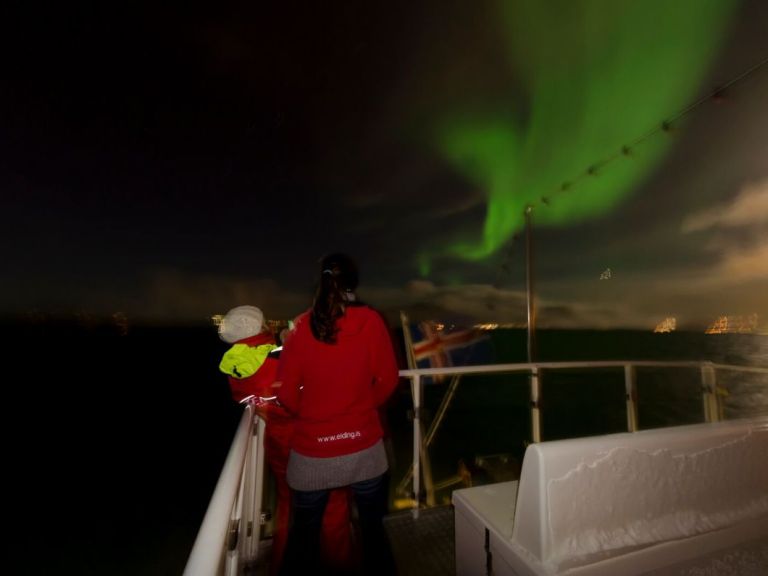 Reykjavík Whales & Northern Lights.