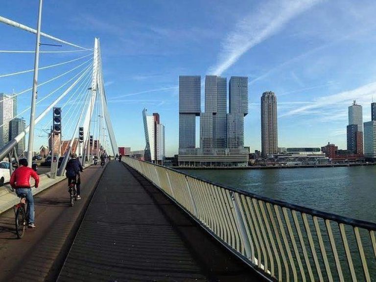 Half-Day Rotterdam City of the Future Walking Tour.