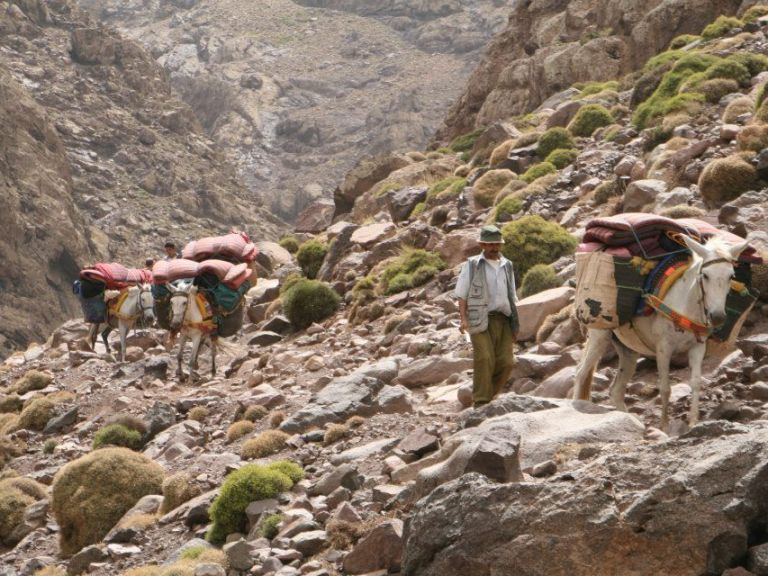 Toubkal trek - 2 days. Day 1: Pick up from your hotel in Marrakech.