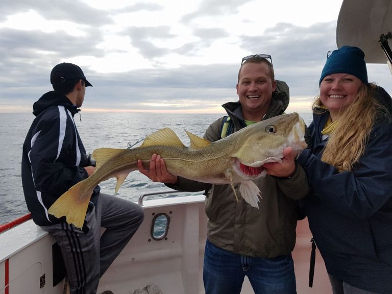 Sea Angling. With our company, you can enjoy the fishing adventure of a lifetime! Sea Angling is a great activity for all ages. We set off from Reykjavik's Old Harbour and head out to fishing area Faxaflói Bay, where our experienced crew will usually spot fish in a flash!