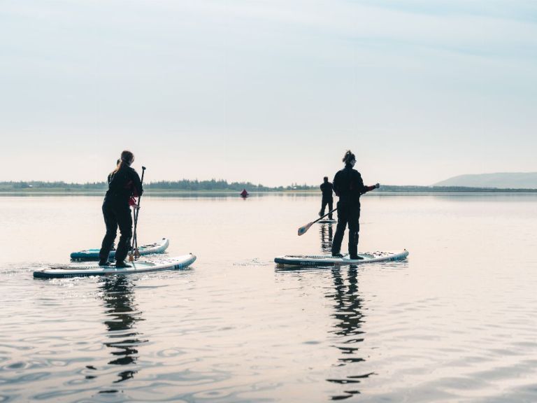 Paddle Board Tour.