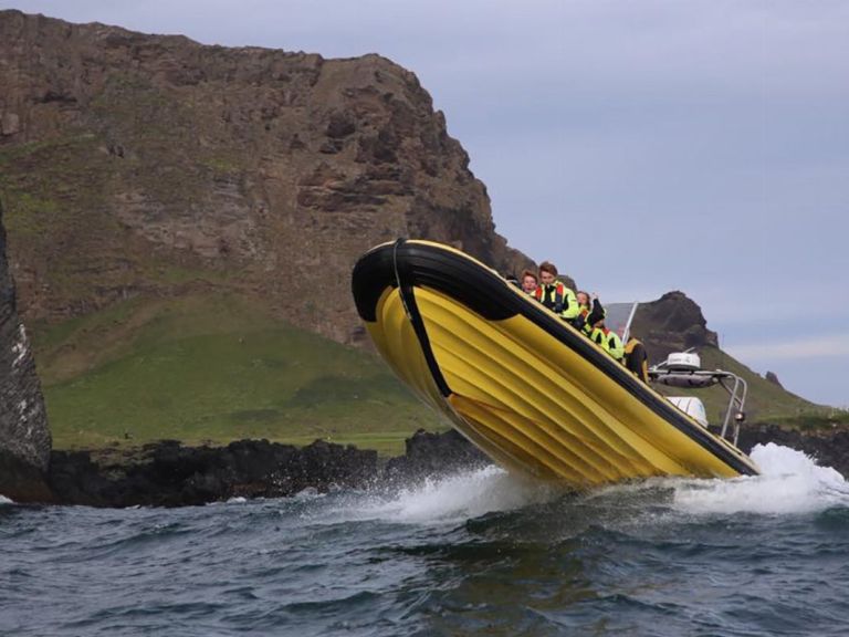 Puffin Tour by RIB Speedboat from Downtown Reykjavik.