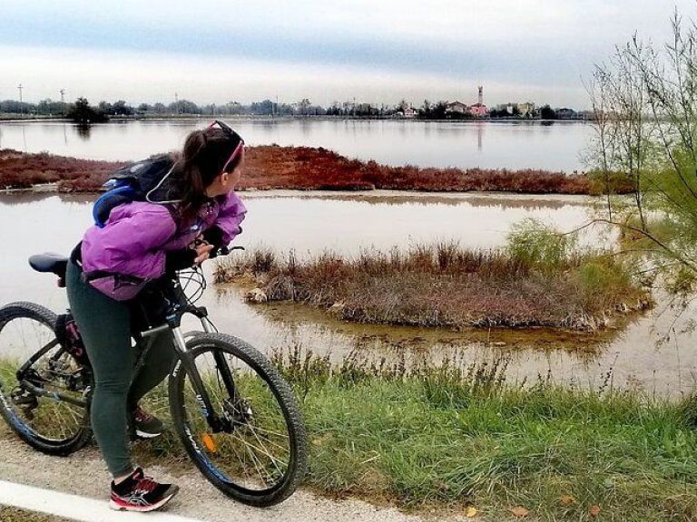 Lio piccolo: flamingos & birdwatching bike tour in the Venetian lagoon.