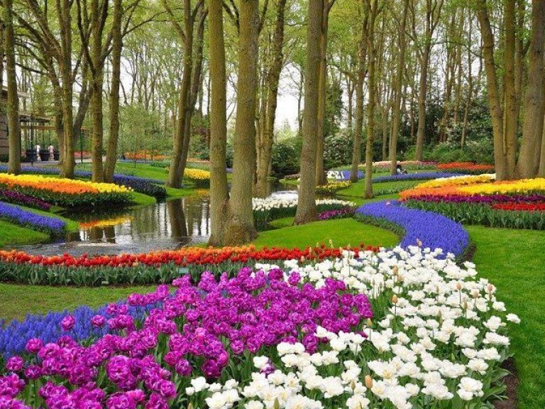 Magical Delft and the Keukenhof estate: Tulips galore.