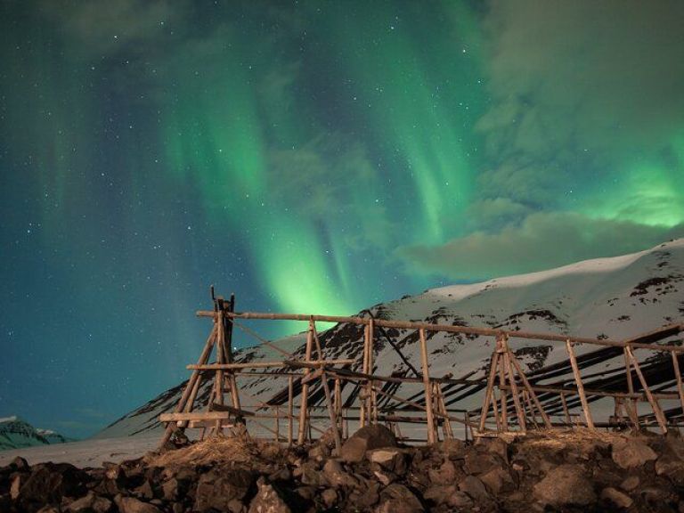 Northern Lights Hunting: Experience the wonder of the Northern lights (Aurora Borealis) in the quiet and peaceful Icelandic nature, and get to see places where most regular tours don't go. Enjoy some hot chocolate and some twisted doughnuts to keep you warm.
