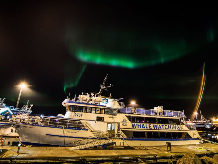 Auroras at Whales of Iceland & Northern Lights by Boat.