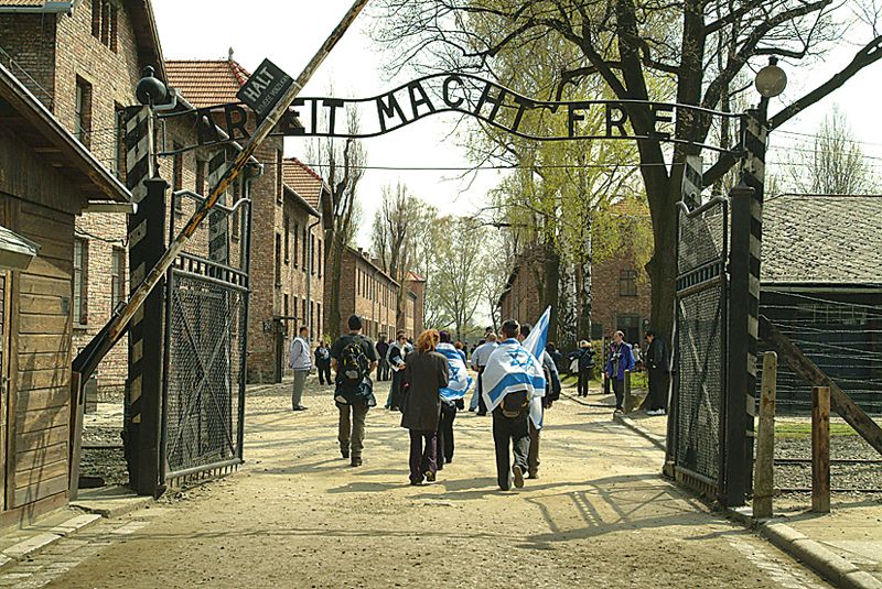 Auschwitz-Birkenau Museum and Memorial Guided Tour from Krakow.
