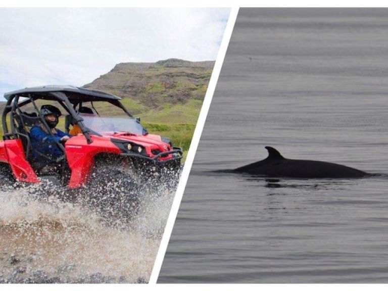 Reykjavík Whales & Buggy: Start the day with a pickup at your hotel or designated bus stop from 09:00. The buggy tour is operated by Safari Quads and once at their base camp you will meet up with your tour guide for instructions and safety briefing. No experience is necessary for this tour so the guides will make sure you know what you need to have a safe and fun tour.