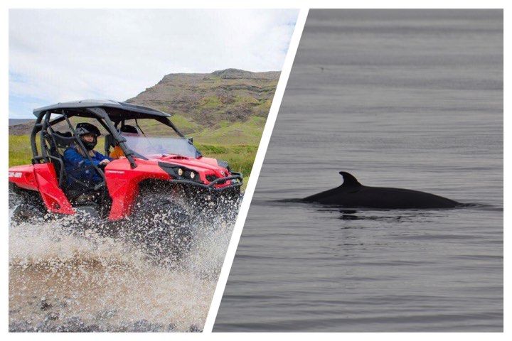 Reykjavík Whales & Buggy: Start the day with a pickup at your hotel or designated bus stop from 09:00. The buggy tour is operated by Safari Quads and once at their base camp you will meet up with your tour guide for instructions and safety briefing. No experience is necessary for this tour so the guides will make sure you know what you need to have a safe and fun tour.