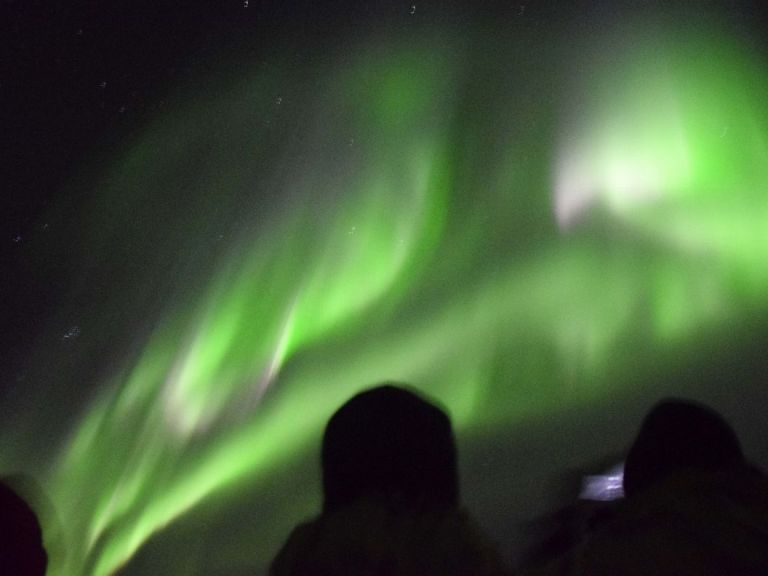 Northern Lights by Boat.