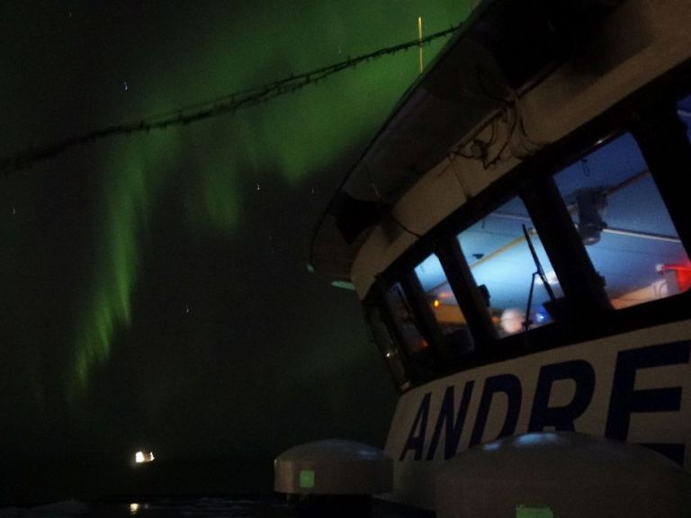 Northern Lights by Boat.