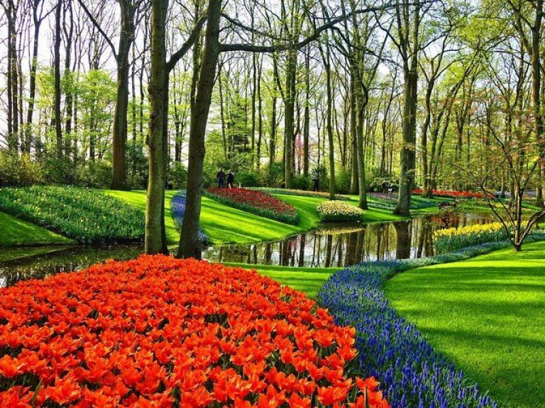 Magical Delft and the Keukenhof estate: Tulips galore.