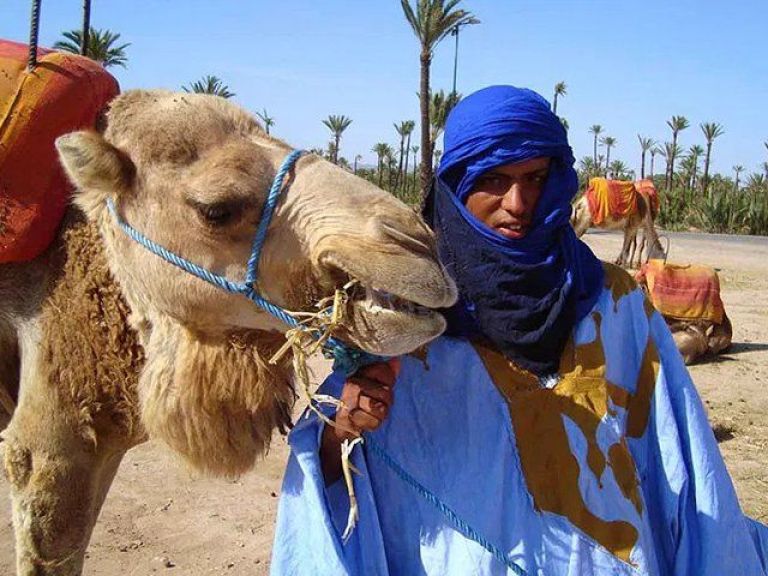 Things to do in Marrakech: Camel ride experience.