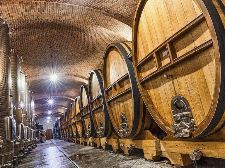 Best of Tuscany Countryside including Wine Tasting - Private Day Trip from Rome.