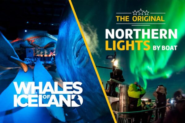 Auroras at Whales of Iceland & Northern Lights by Boat