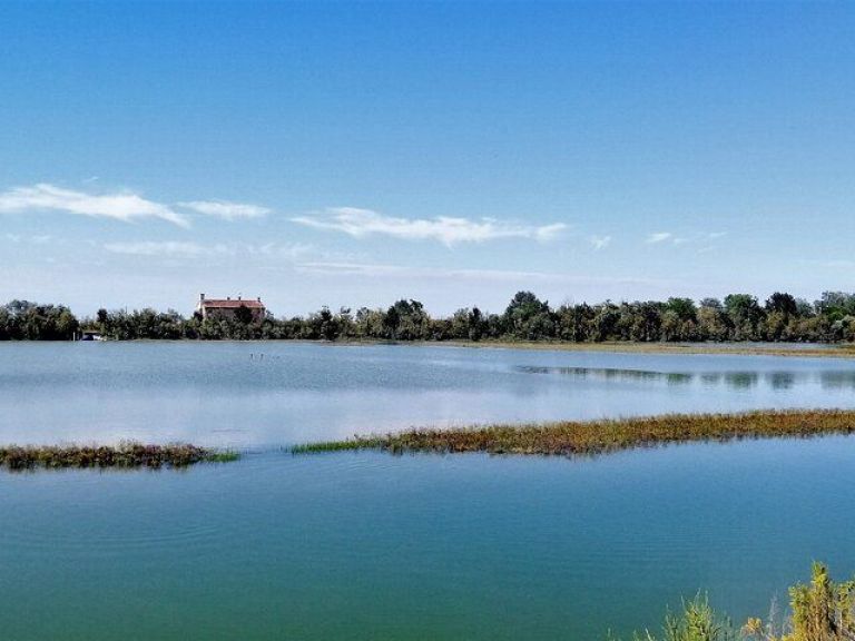 Lio piccolo: flamingos & birdwatching bike tour in the Venetian lagoon.