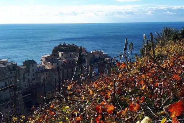 Cinque Terre walking tour with local wine tasting
