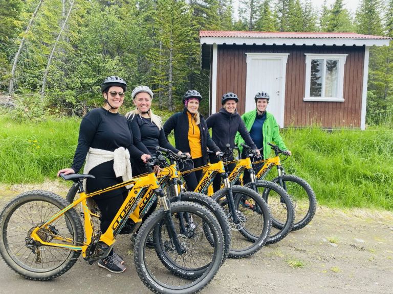 E-bike tour Ullarfoss.