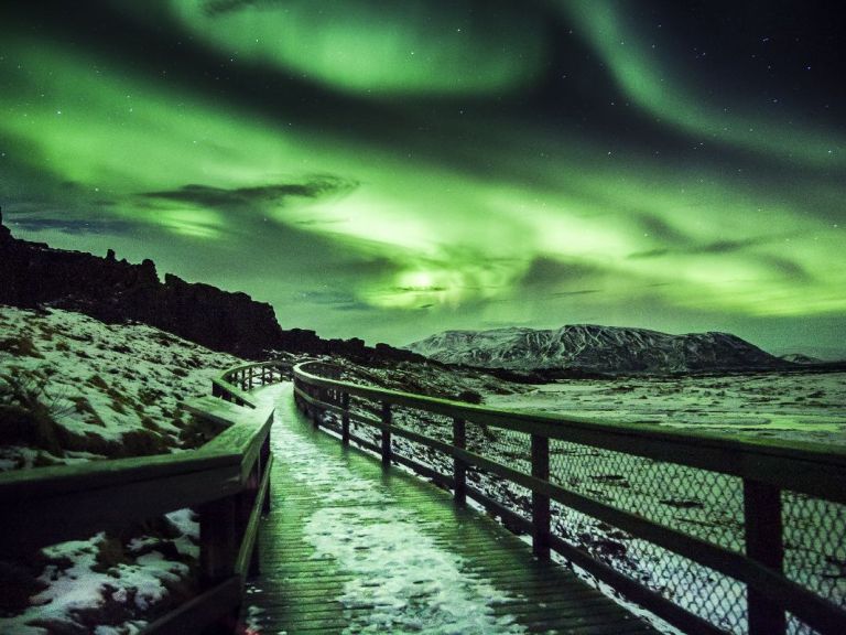 Northern Lights Bus Tour From Reykjavík. Art and science collide for an evening of hunting through the Icelandic countryside for an opportunity to spot the elusive Northern Lights. Many people come to our shores from all over the world every winter to see them.