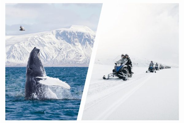 Reykjavík Whales & Snow All Year