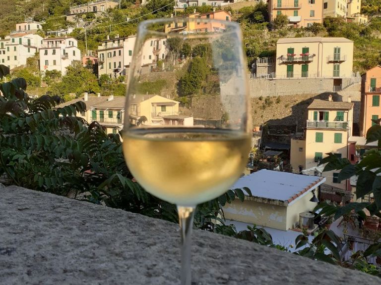 Short walking tour on the Cinque Terre hills with wine tasting.
