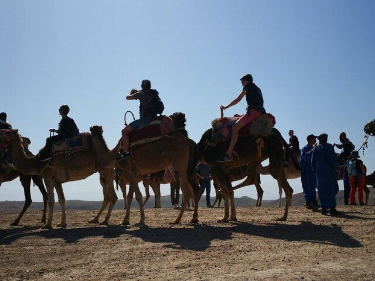 Sunset Camel ride in Agafay Desert from Marrakech.