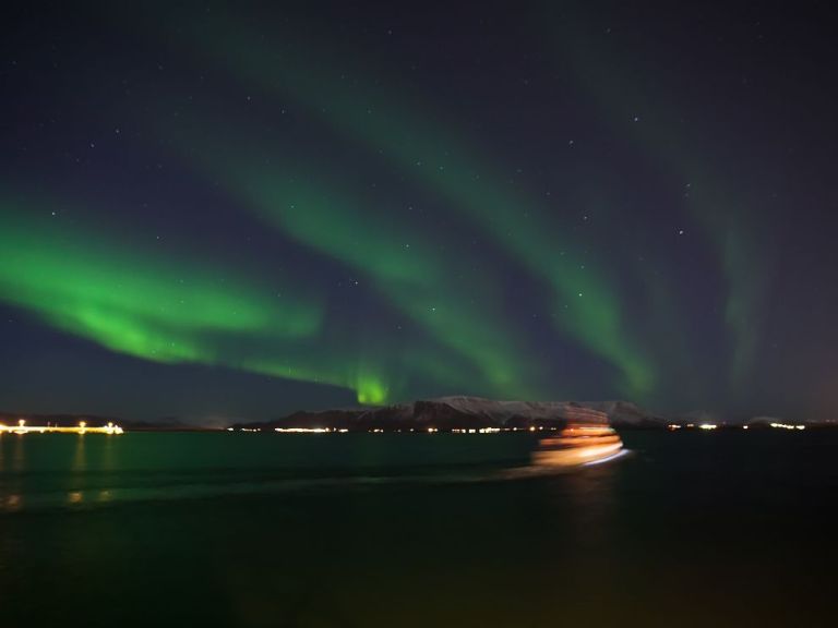 Auroras at Whales of Iceland & Northern Lights by Boat.