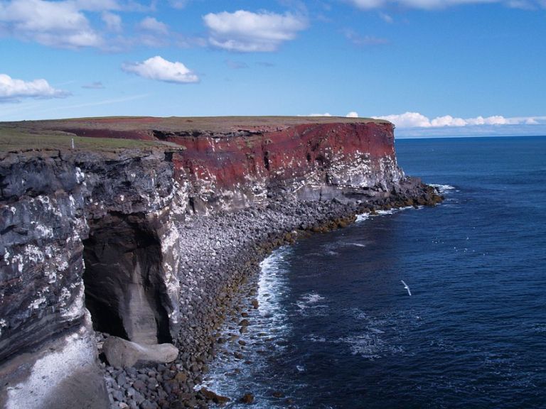 Reykjanes Peninsula: Incredible aspects of bird’s life & Iceland’s volcanic landscapes with cliffs, volcanoes, lava fields, hot springs & craters of various kinds…