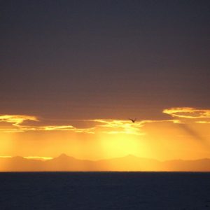 Midnight Sun Tour.