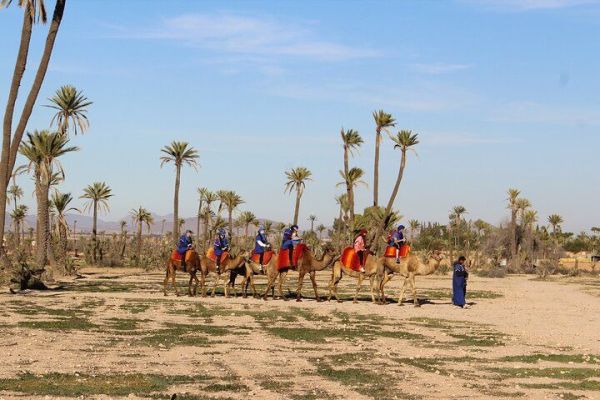 Things to do in Marrakech: Camel ride experience