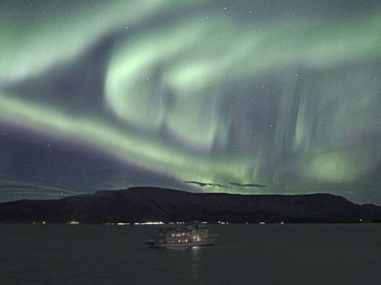 Auroras at Whales of Iceland & Northern Lights by Boat.