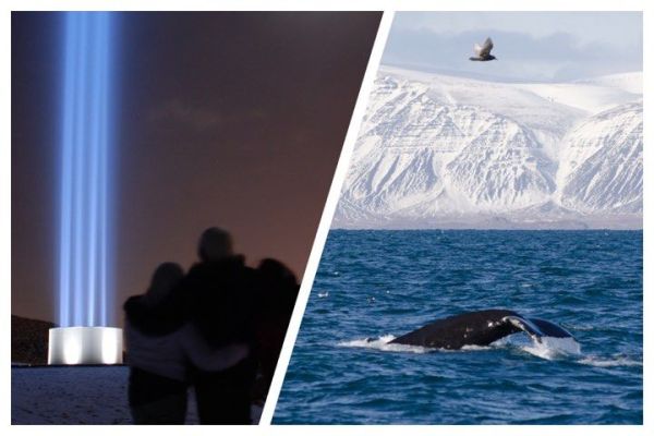 Reykjavík Whales & Imagine Peace Tower